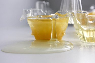 Similar image 13076526