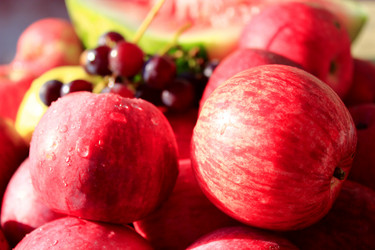 Similar image 13066022