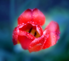 Similar image 13078334