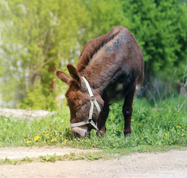 Similar image 13078336