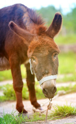 Similar image 13078337