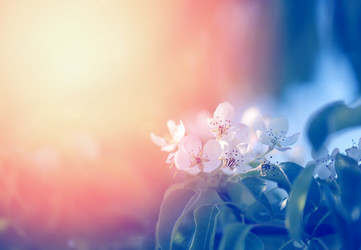 Similar image 13078340