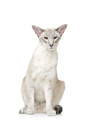 Similar image 13111918