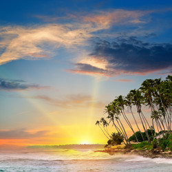 Similar image 13074324