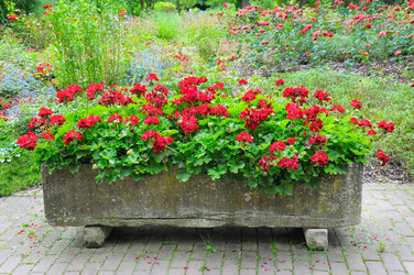 Similar image 13074350