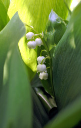 Similar image 13066204