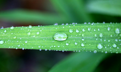 Similar image 13077741