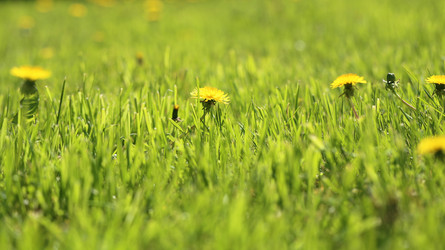 Similar image 13077761