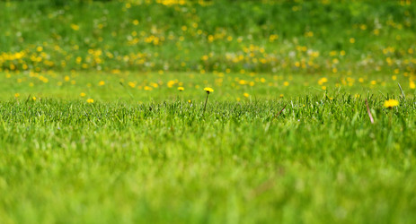 Similar image 13077780