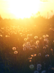 Similar image 13077860