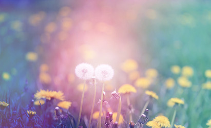 Similar image 13078000