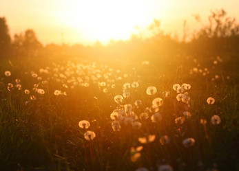 Similar image 13078001