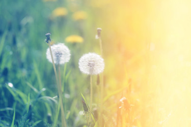 Similar image 13078002