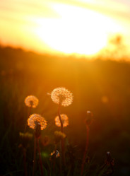 Similar image 13078003