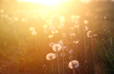 Similar image 13078004