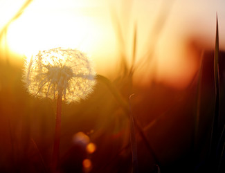 Similar image 13078005