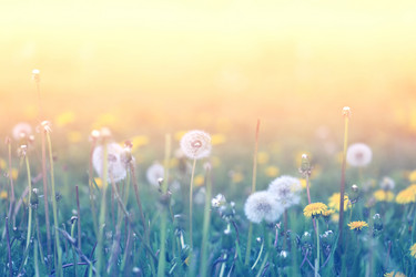 Similar image 13078026