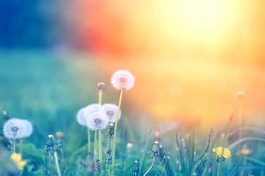 Similar image 13078027