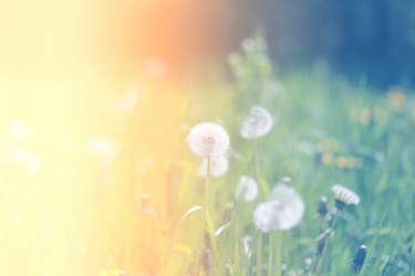 Similar image 13078028