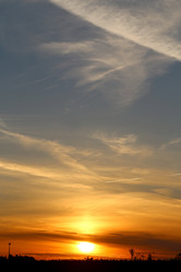 Similar image 13078029