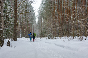 Similar image 13097272