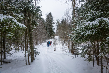 Similar image 13097274