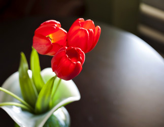 Similar image 13066422