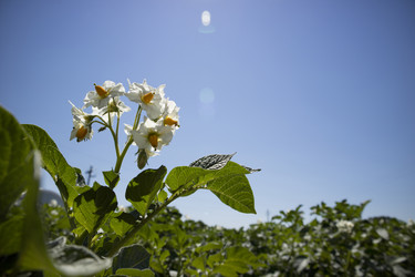 Similar image 13071153