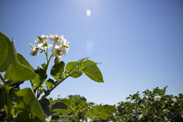 Similar image 13071154