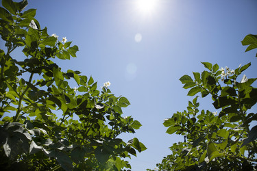 Similar image 13071172