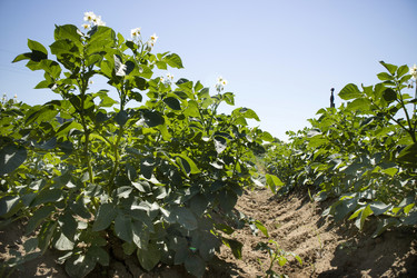 Similar image 13071173