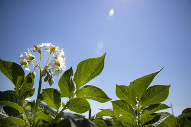 Similar image 13071174