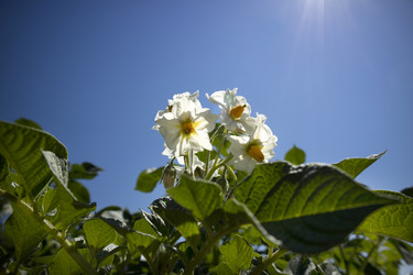 Similar image 13071175