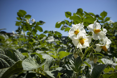 Similar image 13071176