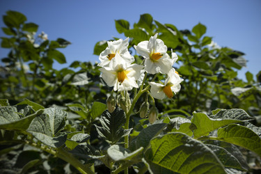 Similar image 13071177