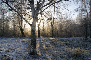 Similar image 13066144