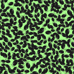 Similar image 13066408