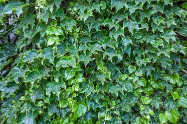 Similar image 13076565