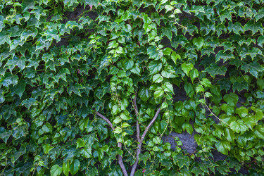 Similar image 13076566