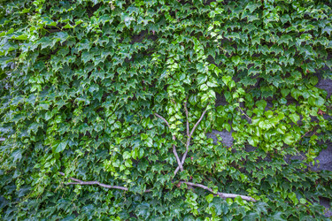 Similar image 13076567