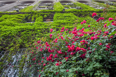 Similar image 13076568