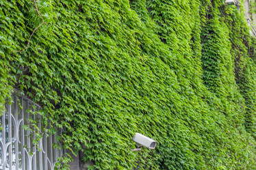 Similar image 13076569