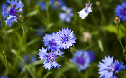 Similar image 13070822