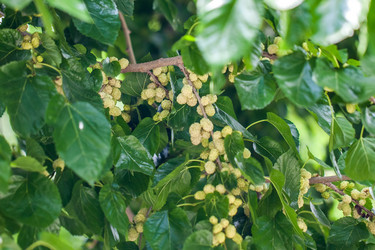 Similar image 13076571