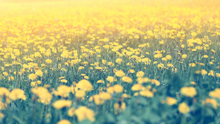 Similar image 13081337