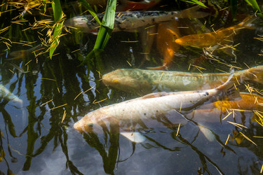 Similar image 13076632