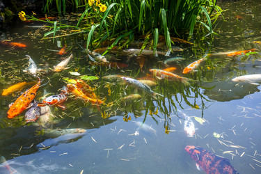 Similar image 13076634