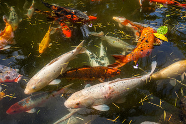 Similar image 13076645