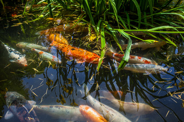 Similar image 13076646