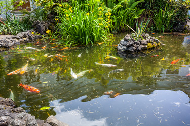 Similar image 13076650